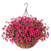 HyeFlora hanging bougainvillea basket with hotpink blooms for outdoor decor