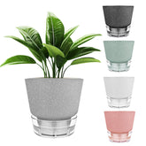 HYNZ 6-inch self-watering pot with visual reservoir for easy moisture monitoring.