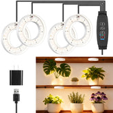 Hywyimlait 4-head LED growth light ring powering indoor plants.