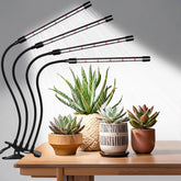 Hywyimlait Black Clip Grow Lights with four-head arrangement for even light coverage