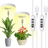 Hywyimlait Halo Ring Grow Light setup for compact spaces, two-pack design.
