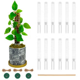 HYYZ small moss pole for Monstera stacked for climbing plants indoors.