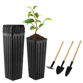 Hzloyat deep nursery pot with 9.8-inch height for robust root growth.