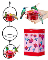 iborn circular hanging hummingbird feeder with 360° perch allowing multiple birds to feed in the garden