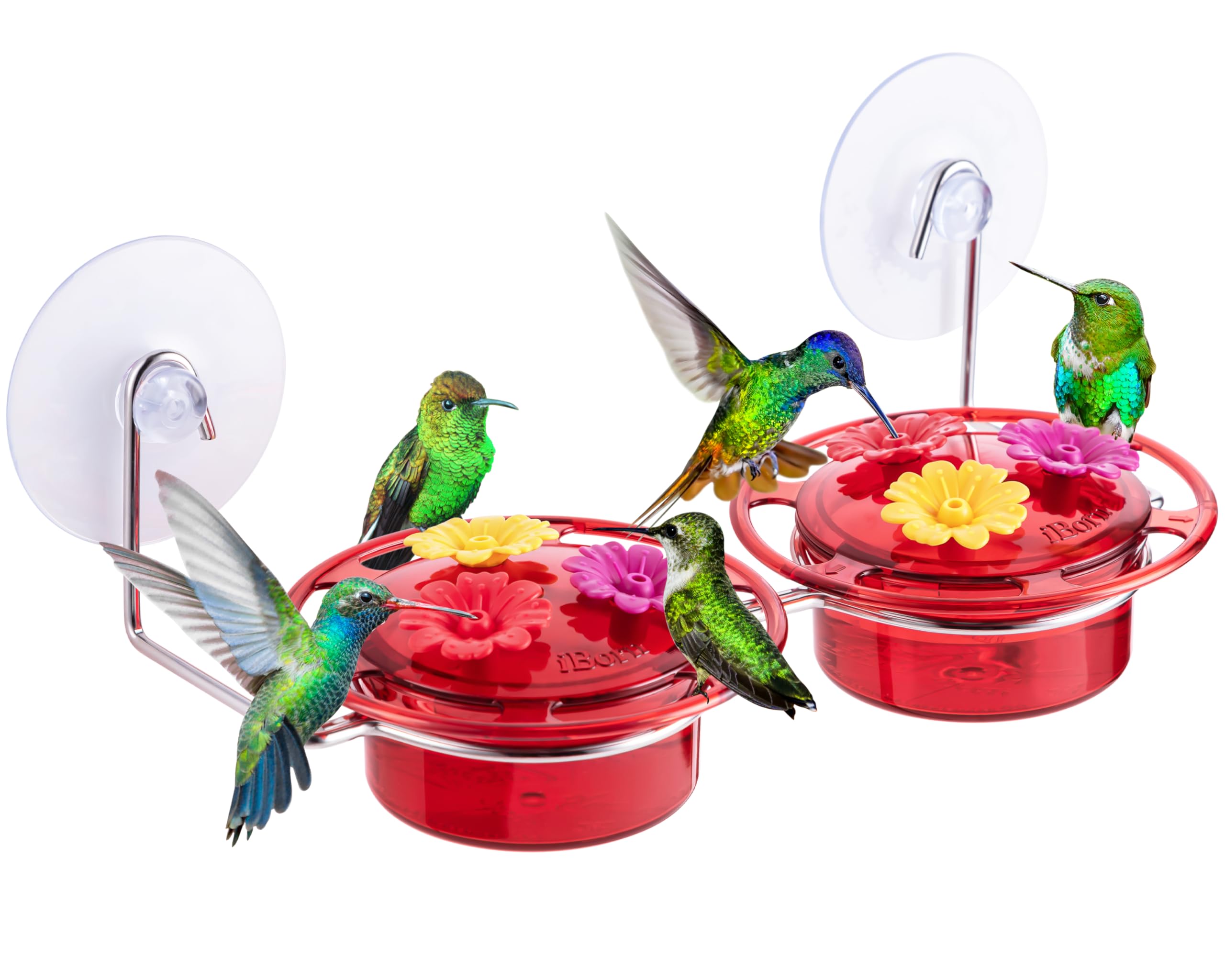 iBorn window hummingbird feeder with suction cup for secure glass mounting and clear viewing