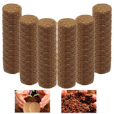Iceyyyy compressed coco coir pellet ready to soak for seed germination.