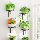 iDavosic.ly wall plant holder set 4 front view highlights sturdy metal support for four plants