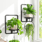 idavosic.ly wall plant frame set2 heavy-duty displays a stable indoor pot arrangement