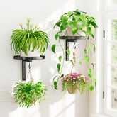 iDavosic.ly wall plant holder set 2 on sturdy wall mount with secure, wobble-free support