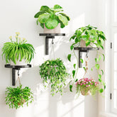 iDavosic.ly wall-mounted plant holder set displays four plants for space-saving greenery.