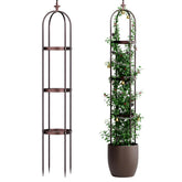 Idzo Trellis with stone-coated obelisk finish supports climbing plants outdoors.