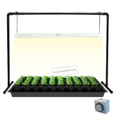 iGrowtek 2ft LED grow light stand for seedling delivers stable full-spectrum light for healthy sprouts.