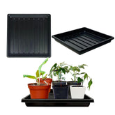 ILITING 1010 seedling tray with no holes offers a clean, compact seed germination setup.