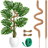 imezos 2 pack 30 inch moss poles supporting Monstera climbing growth
