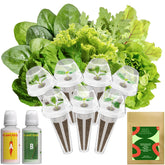 Inbloom 7-Pods Seed Pod Kit content, a complete indoor garden starter.
