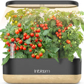 Inbloom hydroponics 12-pod system shows compact indoor herb garden for year-round harvests