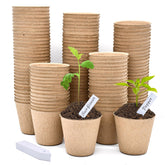 INCIKITI biodegradable seed pots 3.15 inch ready for seedling growth
