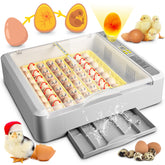 Innvello 36-egg incubator front view for compact home hatchery use.