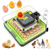 Innvello 48-egg incubator exterior water refill design maintains stable humidity for consistent hatching.