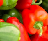 Instant Latch California Wonder pepper seeds ready for indoor sowing and warm-season planting