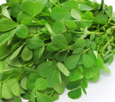 Instant Latch fenugreek seeds packaging, ideal for starting a home herb garden.