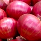 Instant Latch Red Creole Onion Seeds 250-pack seed pack for fresh homegrown onions.