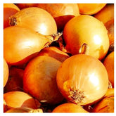 Instant Latch Utah Yellow Sweet Spanish Onion Seeds seed-pack for home gardens; heirloom, non-GMO for fresh onions.