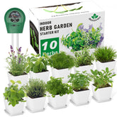Irealgarden indoor herb garden kit for year-round fresh herbs on the windowsill