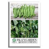 Isla’s Garden Seeds Blue Lake pole bean pods, long and tender, ready for cooking