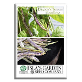 Isla's Garden Seeds Dragon's Tongue plant close-up showing colorful pods for garden color