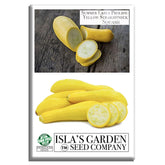 Isla's Garden Seeds early prolific straightneck squash fruit ready to slice