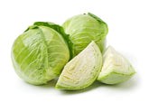Isla's Garden Seeds Late Flat Dutch cabbage head closeup, showing 12-inch flattened heads for storage