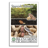 Isla’s Garden Seeds Spanish peanut seeds – early-maturing for quick harvest and roasting.