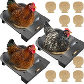 IVAHOU Roll Away Nesting Box 3-Pack with clean egg collection area