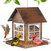 IWNTWY bird feeder in a country house design, perfect for backyard birding.