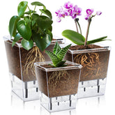 IWNTWY self-watering pot 5-inch front view shows clear reservoir for easy monitoring.