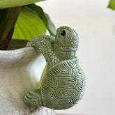 JARPSIRY cute climbing tortoise planter hugger on pot adds whimsical outdoor charm.
