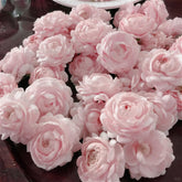 Jasminum Sambac seed packet for 300 seeds ideal for dense fragrant coverage.