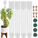 Jegu self-watering moss pole top cup ensures steady hydration for Monstera climbers