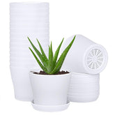 JERIA 16-pack 4in plastic pot top view, ideal for seedling organization and easy handling.