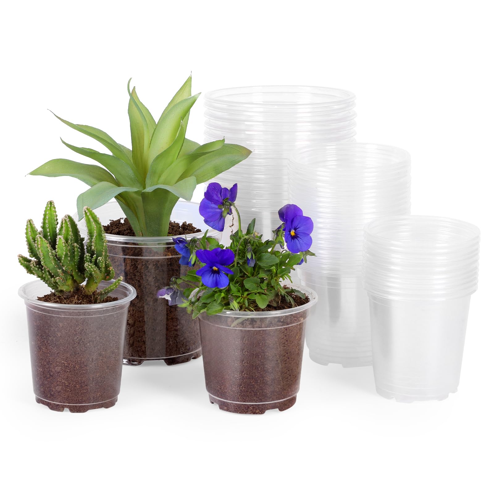JERIA 5-inch clear nursery pot with drainage holes for seed starting.