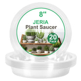 JERIA 8-Inch Clear Plant Saucers demonstrate transparent drip trays for neat indoor plant setups.