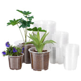 JERIA clear pots 6in pack shot showing durable, reusable planters for seedlings
