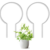 JETTIFY round trellis in clear acrylic supports climbing plants for tidy growth.