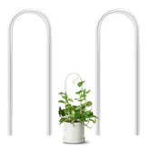 JETTIFY U-shaped clear acrylic trellis supports small potted plants with stable climbing structure.