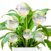 Jgalnim iridescent glass watering bulbs, large size, steady hydration for indoor plants.