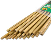 Jollybower bamboo stake 4.75ft set of 25, ideal for trellises.