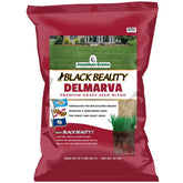 Jonathan Green Black Beauty Delmarva seed bag 25lb for dense cool-season turf