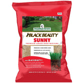 Jonathan Green Black Beauty Sunny Grass Seed pour demonstrates easy seed application for a vibrant lawn.