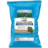Jonathan Green Blue Panther seed bag front; premium Kentucky bluegrass for lush lawns.